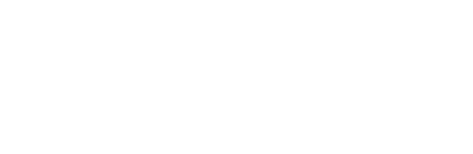 Neural Capital
